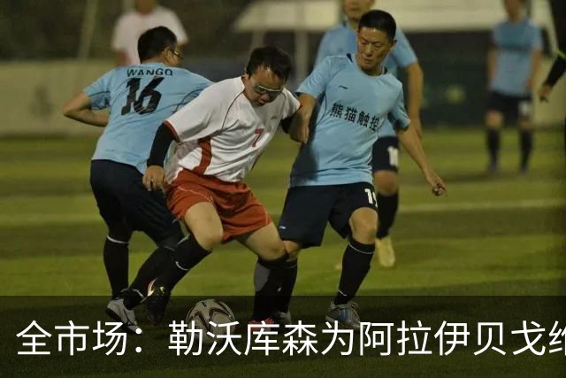 全市场：勒沃库森为阿拉伊贝戈维奇要价3000万欧