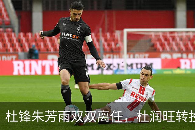 杜锋朱芳雨双双离任，杜润旺转投南京，广东男篮彻底推倒重建
