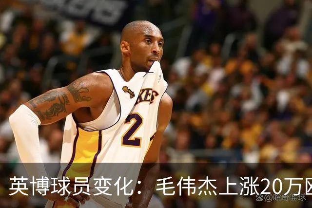 英博球员变化：毛伟杰上涨20万欧吕焯毅上涨5万欧，五外援均下跌